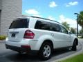 Arctic White - GL 450 4Matic Photo No. 6