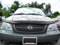 2005 Sage Green Metallic Kia Sedona LX  photo #4