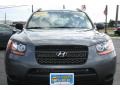 2009 Steel Gray Hyundai Santa Fe GLS  photo #27