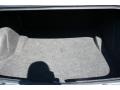 Magnesium Pearlcoat - 300 C HEMI Photo No. 12