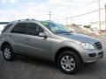 Pewter Metallic - ML 350 4Matic Photo No. 3