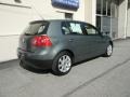 Sage Green Metallic - Rabbit 4 Door Photo No. 3