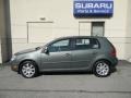Sage Green Metallic - Rabbit 4 Door Photo No. 6