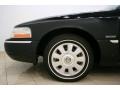 Black Clearcoat - Grand Marquis LS Ultimate Edition Photo No. 24