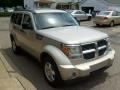 2008 Light Graystone Pearl Dodge Nitro SXT 4x4  photo #6