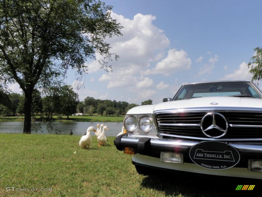 1987 SL Class 560 SL Roadster - Arctic White / Parchment photo #12