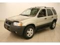 2003 Gold Ash Metallic Ford Escape XLT V6 4WD  photo #3