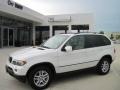 Alpine White - X5 3.0i Photo No. 1