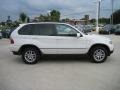 Alpine White - X5 3.0i Photo No. 4