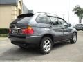 Steel Grey Metallic - X5 3.0i Photo No. 6