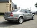 2001 Silverstone Grey Metallic Volkswagen Passat GLX Sedan  photo #6