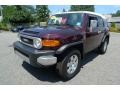 Black Cherry Pearl - FJ Cruiser 4WD Photo No. 3