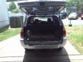 Titanium Metallic - 4Runner SR5 Photo No. 15