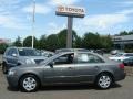 Willow Gray - Sonata GLS Photo No. 3