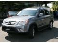 2005 Pewter Pearl Honda CR-V Special Edition 4WD  photo #1