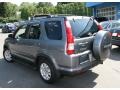 2005 Pewter Pearl Honda CR-V Special Edition 4WD  photo #8