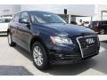 Deep Sea Blue Pearl Effect - Q5 2.0T quattro Photo No. 1