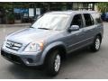 Pewter Pearl - CR-V Special Edition 4WD Photo No. 1