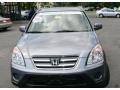Pewter Pearl - CR-V Special Edition 4WD Photo No. 2