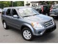 Pewter Pearl - CR-V Special Edition 4WD Photo No. 3