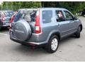 Pewter Pearl - CR-V Special Edition 4WD Photo No. 5
