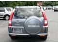 Pewter Pearl - CR-V Special Edition 4WD Photo No. 6