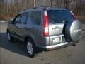 Pewter Pearl - CR-V SE 4WD Photo No. 5