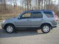 Pewter Pearl - CR-V SE 4WD Photo No. 6