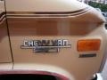 Light Saddle Metallic - Chevy Van G20 Sportvan Photo No. 19
