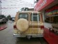 Light Saddle Metallic - Chevy Van G20 Sportvan Photo No. 20