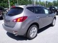 2010 Platinum Graphite Metallic Nissan Murano LE  photo #5