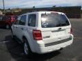 2010 White Suede Ford Escape XLT V6 4WD  photo #5