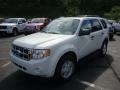 2010 White Suede Ford Escape XLT V6 4WD  photo #10