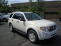 2010 White Suede Ford Escape XLT V6 4WD  photo #1