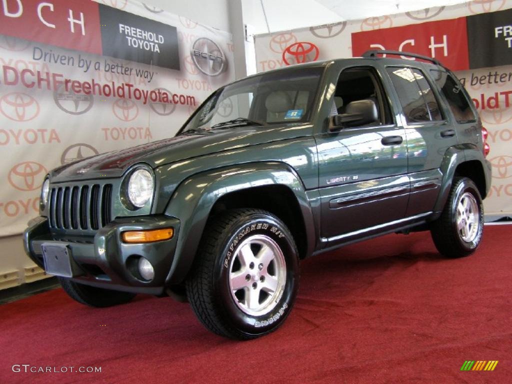 2002 Liberty Limited 4x4 - Shale Green Metallic / Taupe photo #1