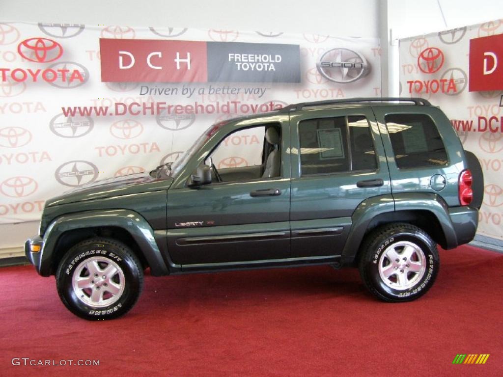 2002 Liberty Limited 4x4 - Shale Green Metallic / Taupe photo #5