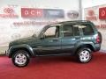 2002 Shale Green Metallic Jeep Liberty Limited 4x4  photo #5