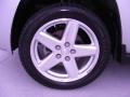 Bright Silver Metallic - Compass Limited Photo No. 32