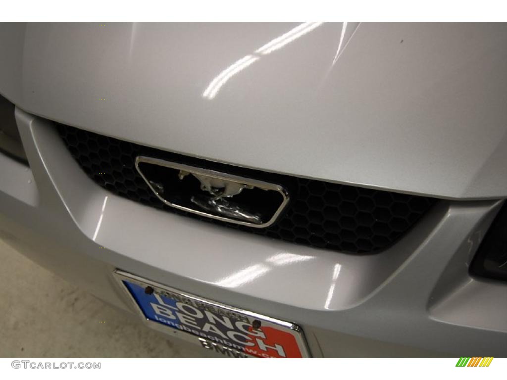 2003 Mustang GT Coupe - Silver Metallic / Medium Graphite photo #12