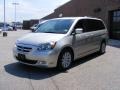 Silver Pearl Metallic - Odyssey Touring Photo No. 7