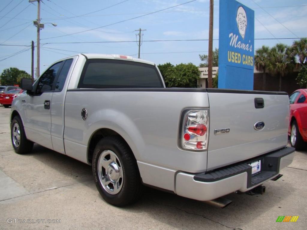 2005 F150 XL Regular Cab - Silver Metallic / Medium Flint/Dark Flint Grey photo #6