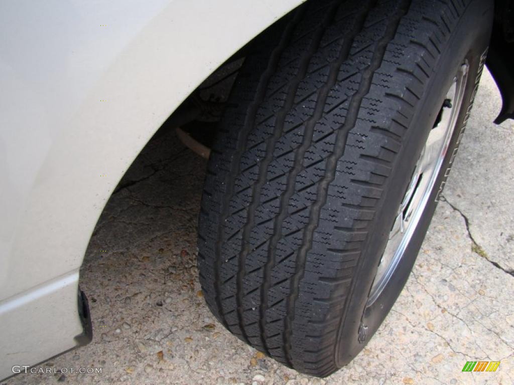 2005 F150 XL Regular Cab - Silver Metallic / Medium Flint/Dark Flint Grey photo #25