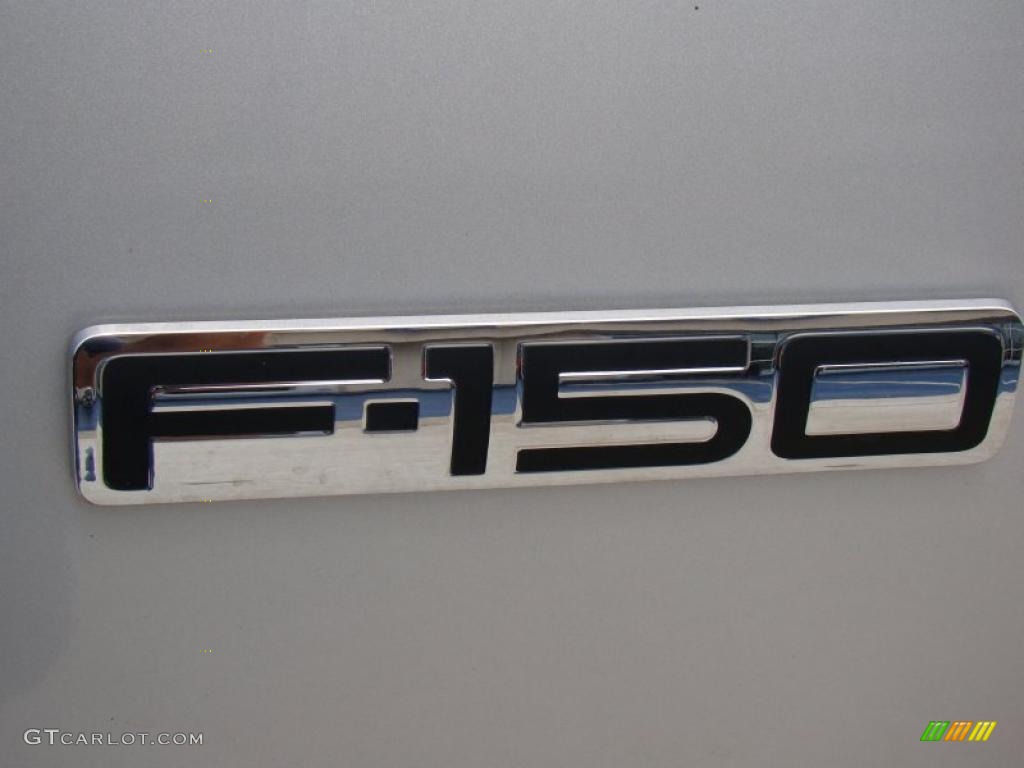 2005 F150 XL Regular Cab - Silver Metallic / Medium Flint/Dark Flint Grey photo #32