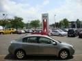 2008 Magnetic Gray Nissan Sentra 2.0 SL  photo #7