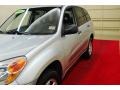 Titanium Metallic - RAV4  Photo No. 12