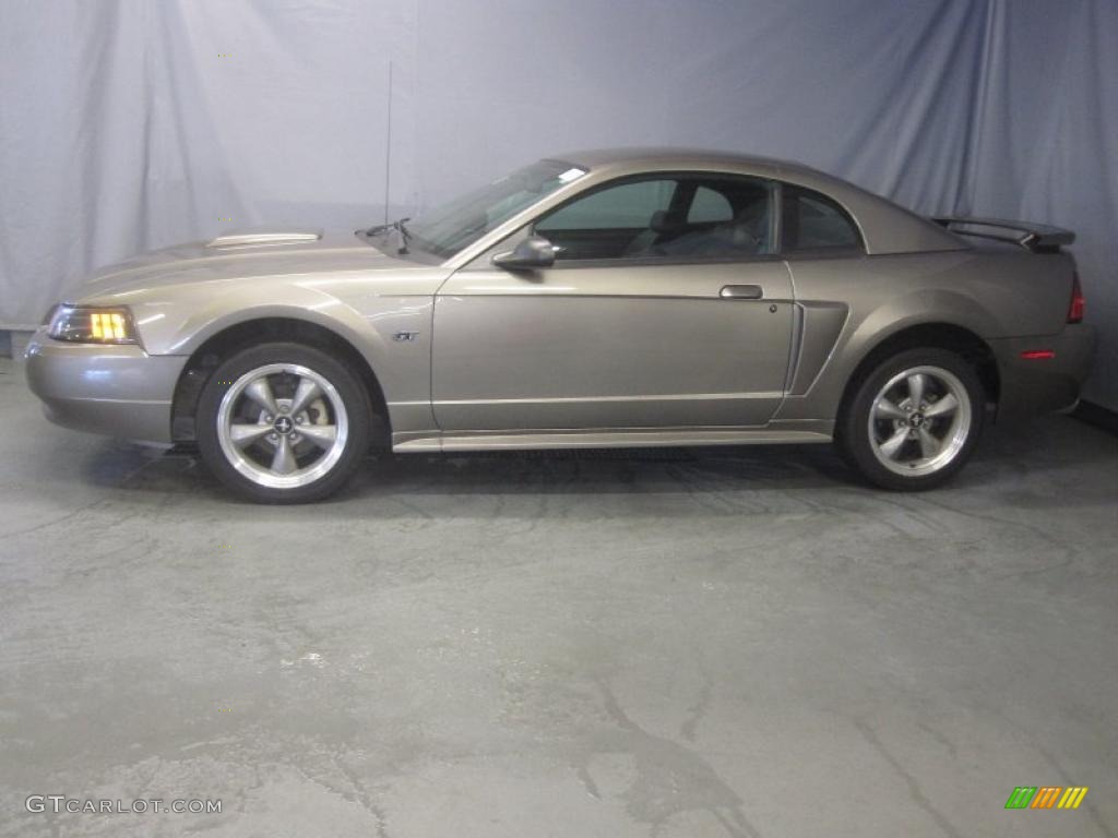 2002 Mustang GT Coupe - Mineral Grey Metallic / Dark Charcoal photo #2