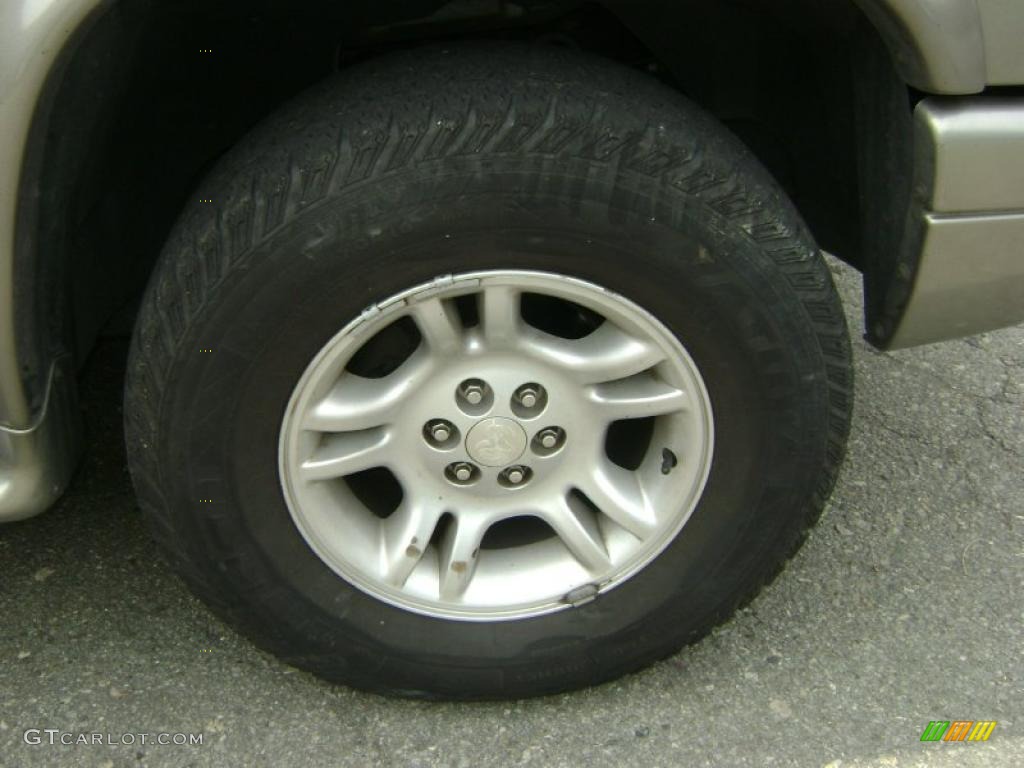 2001 Durango SLT 4x4 - Bright Platinum Metallic / Dark Slate Gray photo #4