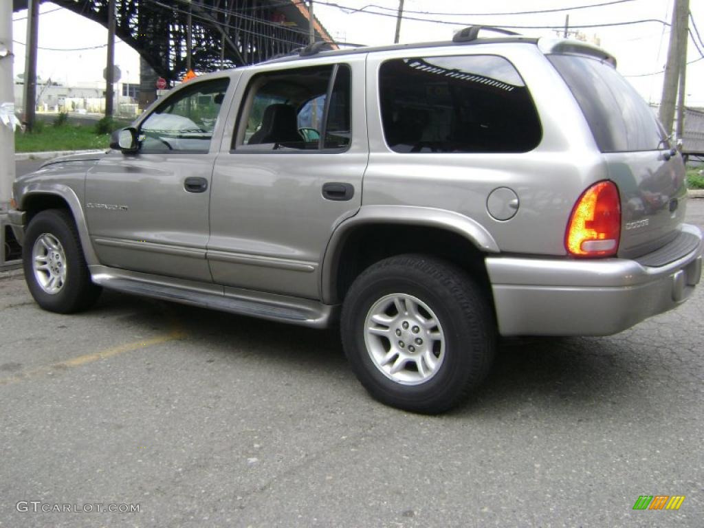 2001 Durango SLT 4x4 - Bright Platinum Metallic / Dark Slate Gray photo #12
