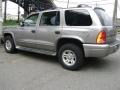 2001 Bright Platinum Metallic Dodge Durango SLT 4x4  photo #12