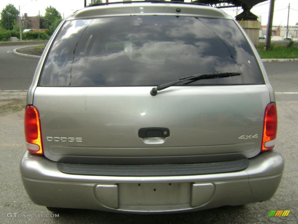 2001 Durango SLT 4x4 - Bright Platinum Metallic / Dark Slate Gray photo #13